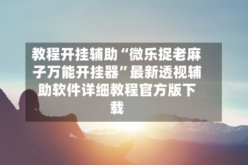 教程开挂辅助“微乐捉老麻子万能开挂器”最新透视辅助软件详细教程官方版下载-第2张图片