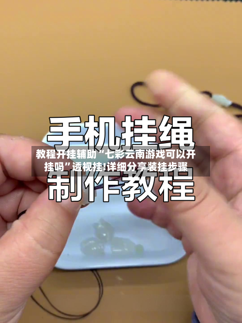 教程开挂辅助“七彩云南游戏可以开挂吗”透视挂!详细分享装挂步骤-第2张图片