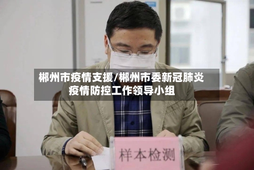 郴州市疫情支援/郴州市委新冠肺炎疫情防控工作领导小组-第3张图片