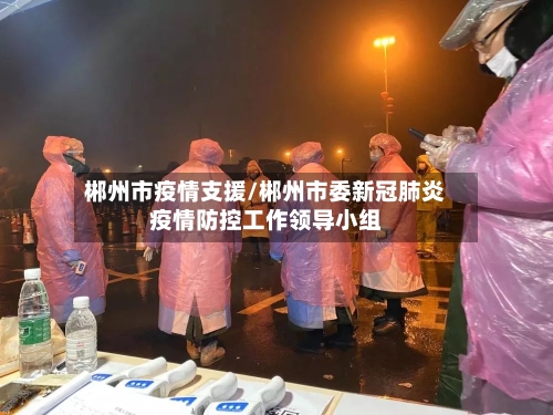 郴州市疫情支援/郴州市委新冠肺炎疫情防控工作领导小组-第2张图片