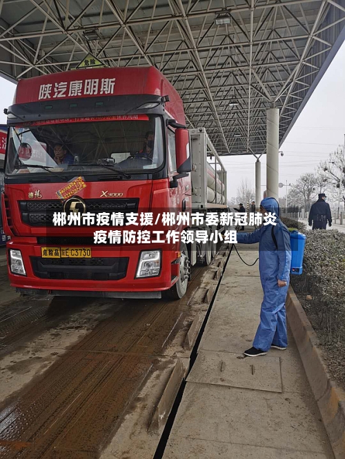 郴州市疫情支援/郴州市委新冠肺炎疫情防控工作领导小组-第1张图片
