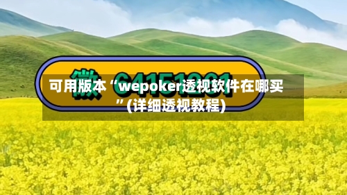 可用版本“wepoker透视软件在哪买	”(详细透视教程)-第1张图片