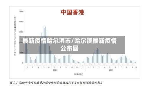 最新疫情哈尔滨市/哈尔滨最新疫情公布图-第2张图片