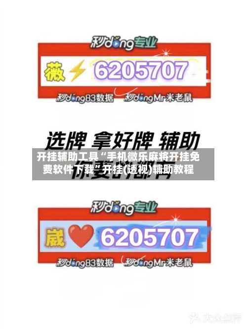 开挂辅助工具“手机微乐麻将开挂免费软件下载”开挂(透视)辅助教程-第2张图片