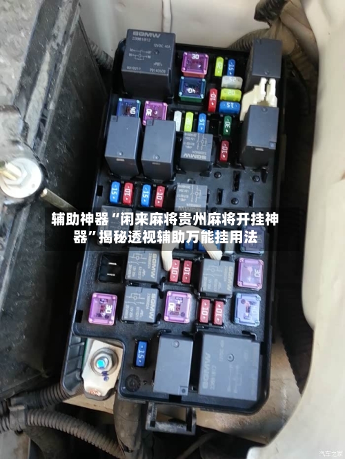 辅助神器“闲来麻将贵州麻将开挂神器”揭秘透视辅助万能挂用法-第1张图片