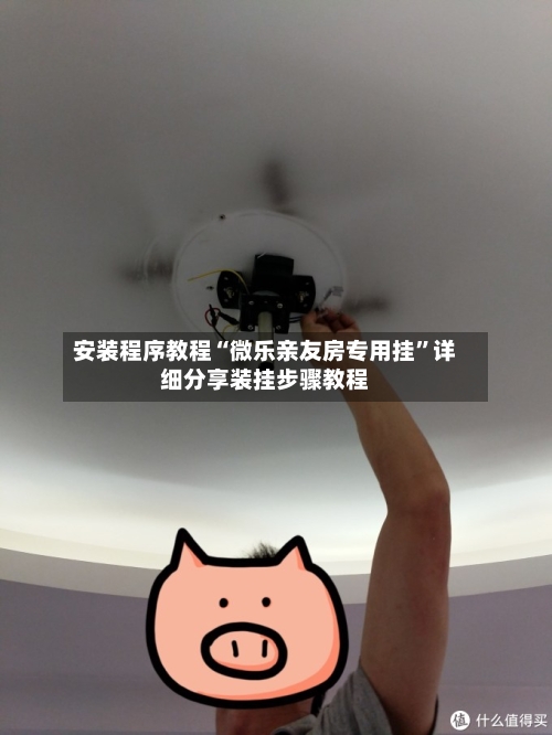 安装程序教程“微乐亲友房专用挂”详细分享装挂步骤教程-第2张图片