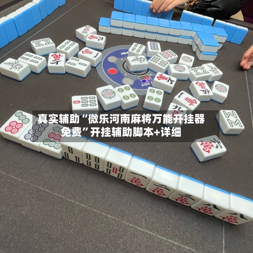 真实辅助“微乐河南麻将万能开挂器免费”开挂辅助脚本+详细-第2张图片