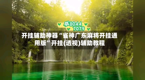 开挂辅助神器“雀神广东麻将开挂通用版”开挂(透视)辅助教程-第3张图片