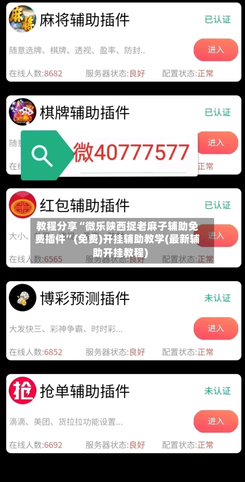 教程分享“微乐陕西捉老麻子辅助免费插件”(免费)开挂辅助教学(最新辅助开挂教程)-第3张图片