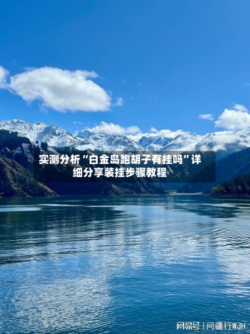 实测分析“白金岛跑胡子有挂吗	”详细分享装挂步骤教程-第1张图片