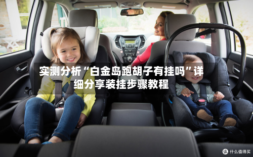 实测分析“白金岛跑胡子有挂吗”详细分享装挂步骤教程-第2张图片