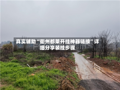 真实辅助“衢州都莱开挂神器链接”详细分享装挂步骤-第1张图片