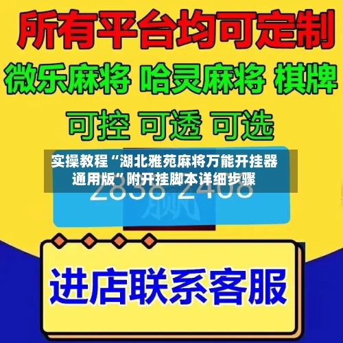 实操教程“湖北雅苑麻将万能开挂器通用版”附开挂脚本详细步骤-第2张图片