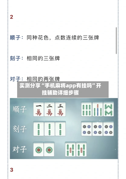 实测分享“手机麻将app有挂吗”开挂辅助详细步骤-第1张图片
