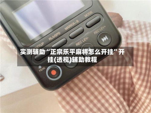 实测辅助“正宗乐平麻将怎么开挂	”开挂(透视)辅助教程-第1张图片