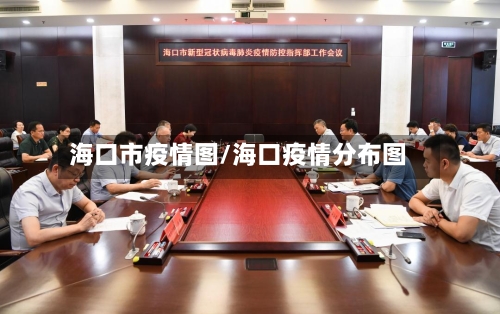 海口市疫情图/海口疫情分布图-第1张图片