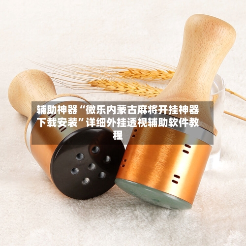 辅助神器“微乐内蒙古麻将开挂神器下载安装”详细外挂透视辅助软件教程-第1张图片