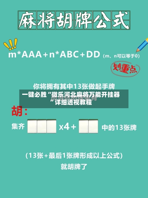 一键必胜“微乐河北麻将万能开挂器”详细透视教程-第2张图片