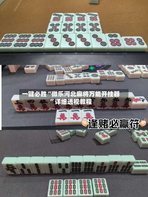 一键必胜“微乐河北麻将万能开挂器”详细透视教程-第3张图片
