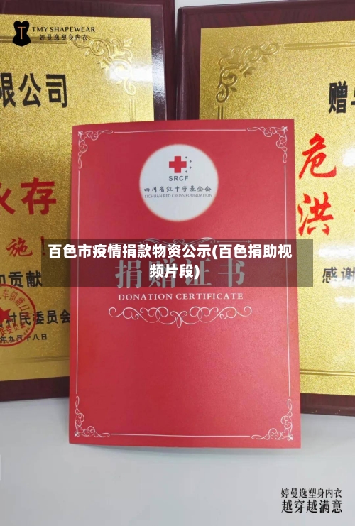 百色市疫情捐款物资公示(百色捐助视频片段)-第1张图片