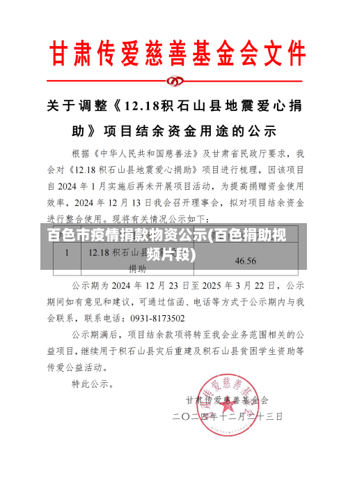 百色市疫情捐款物资公示(百色捐助视频片段)-第2张图片