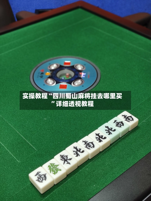 实操教程“四川蜀山麻将挂去哪里买	”详细透视教程-第3张图片
