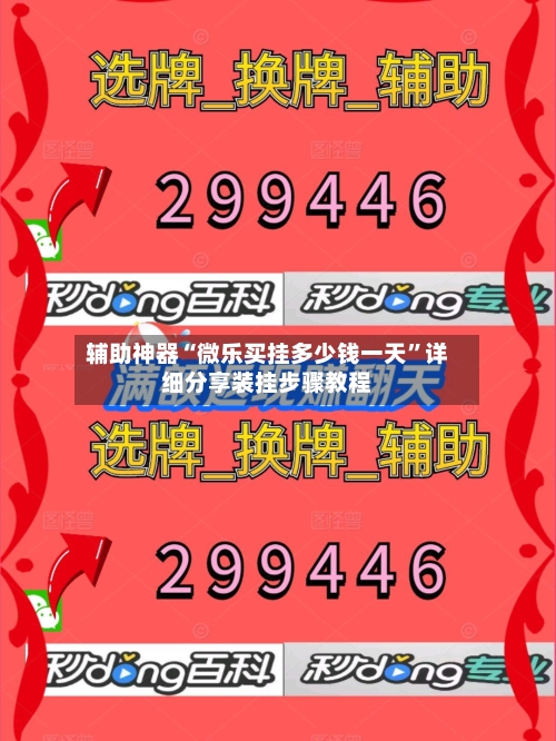 辅助神器“微乐买挂多少钱一天”详细分享装挂步骤教程-第1张图片
