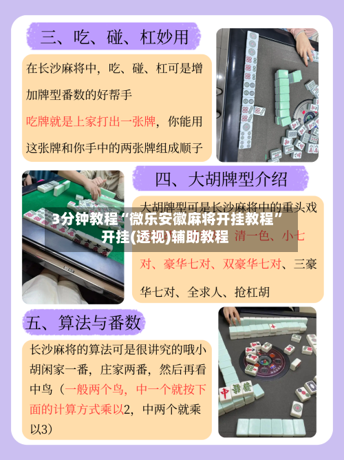 3分钟教程“微乐安徽麻将开挂教程	”开挂(透视)辅助教程-第1张图片
