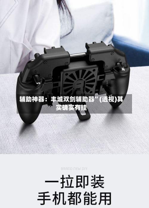 辅助神器：丰城双剑辅助器”(透视)其实确实有挂-第3张图片