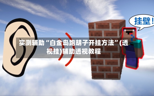 实测辅助“白金岛跑胡子开挂方法”(透视挂)辅助透视教程-第1张图片