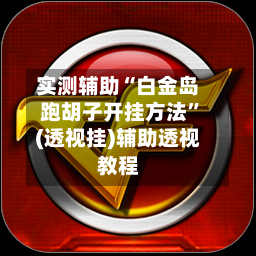 实测辅助“白金岛跑胡子开挂方法”(透视挂)辅助透视教程-第3张图片