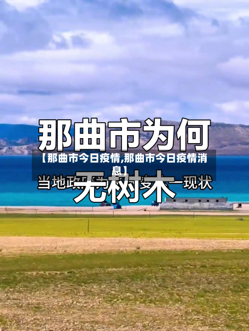 【那曲市今日疫情,那曲市今日疫情消息】-第1张图片