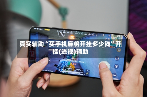 真实辅助“买手机麻将开挂多少钱”开挂(透视)辅助-第2张图片