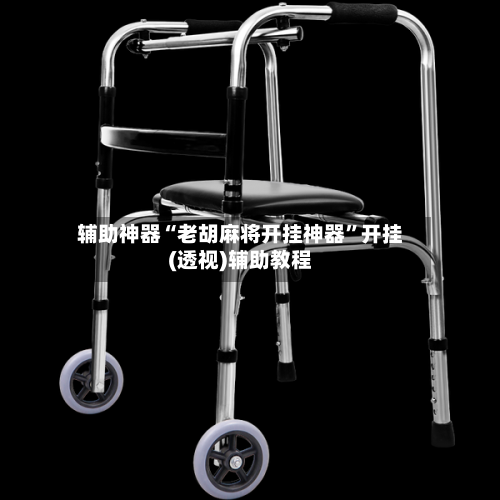辅助神器“老胡麻将开挂神器”开挂(透视)辅助教程-第2张图片