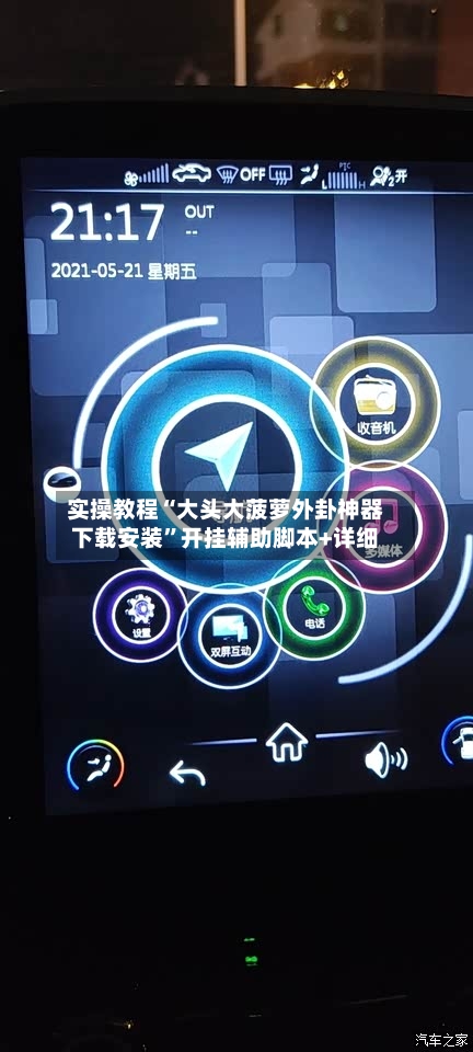 实操教程“大头大菠萝外卦神器下载安装”开挂辅助脚本+详细-第2张图片