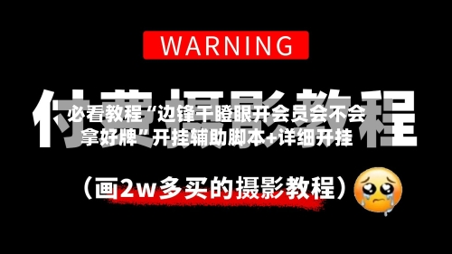 必看教程“边锋干瞪眼开会员会不会拿好牌”开挂辅助脚本+详细开挂-第1张图片