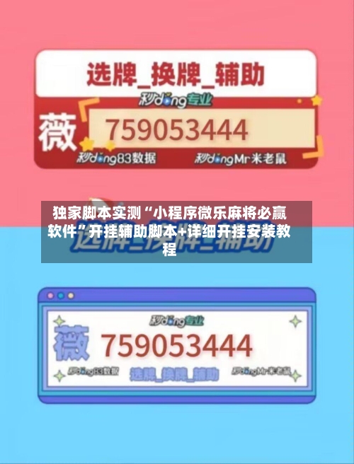 独家脚本实测“小程序微乐麻将必赢软件”开挂辅助脚本+详细开挂安装教程-第2张图片