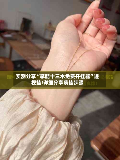 实测分享“掌酷十三水免费开挂器	”透视挂!详细分享装挂步骤-第2张图片