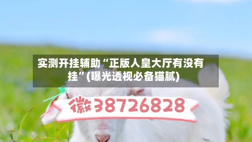 实测开挂辅助“正版人皇大厅有没有挂”(曝光透视必备猫腻)-第1张图片