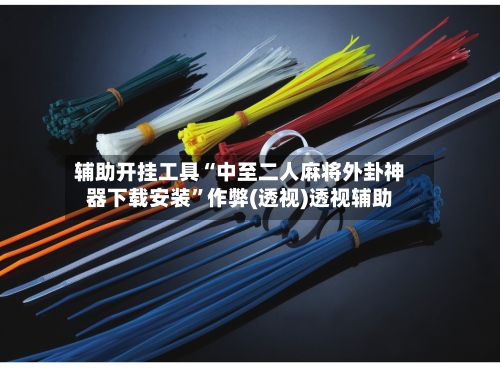 辅助开挂工具“中至二人麻将外卦神器下载安装”作弊(透视)透视辅助-第2张图片