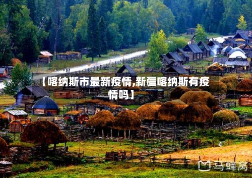【喀纳斯市最新疫情,新疆喀纳斯有疫情吗】-第1张图片