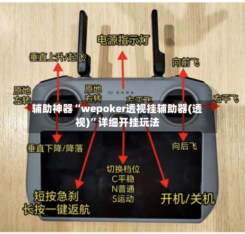 辅助神器“wepoker透视挂辅助器(透视)”详细开挂玩法-第3张图片