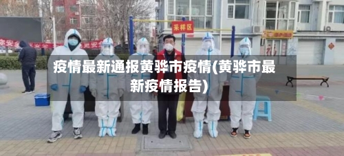 疫情最新通报黄骅市疫情(黄骅市最新疫情报告)-第2张图片