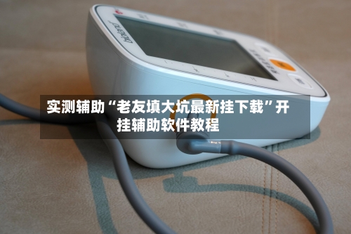 实测辅助“老友填大坑最新挂下载”开挂辅助软件教程-第1张图片