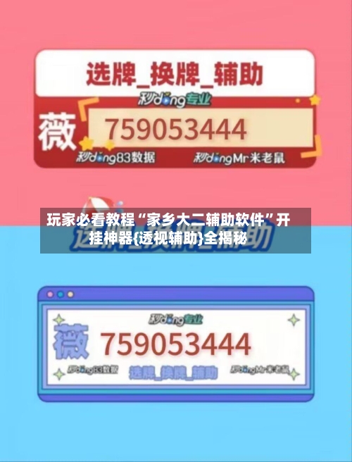 玩家必看教程“家乡大二辅助软件”开挂神器{透视辅助}全揭秘-第1张图片