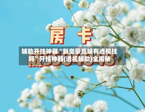 辅助开挂神器“新皇豪互娱有透视挂吗”开挂神器{透视辅助}全揭秘-第2张图片