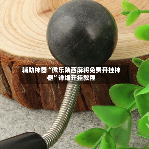 辅助神器“微乐陕西麻将免费开挂神器	”详细开挂教程-第2张图片