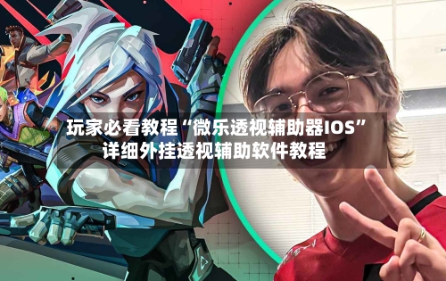 玩家必看教程“微乐透视辅助器IOS”详细外挂透视辅助软件教程-第2张图片