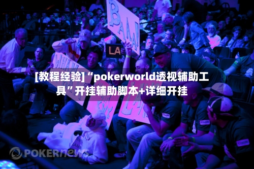 [教程经验]“pokerworld透视辅助工具	”开挂辅助脚本+详细开挂-第2张图片