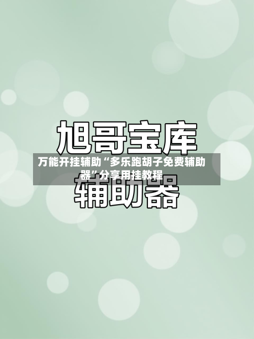 万能开挂辅助“多乐跑胡子免费辅助器”分享用挂教程-第3张图片